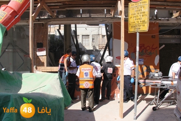 mabna inu910y (20).JPG